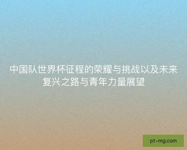 中国队世界杯征程的荣耀与挑战以及未来复兴之路与青年力量展望 中国队世界杯征程的荣耀与挑战以及未来复兴之路与青年力量展望