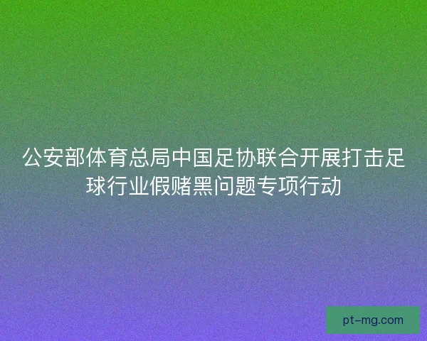 公安部体育总局中国足协联合开展打击足球行业假赌黑问题专项行动 公安部体育总局中国足协联合开展打击足球行业假赌黑问题专项行动