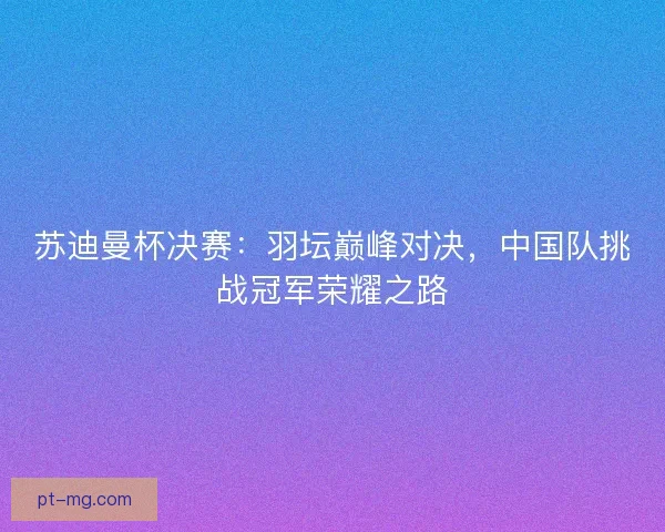 苏迪曼杯决赛：羽坛巅峰对决，中国队挑战冠军荣耀之路