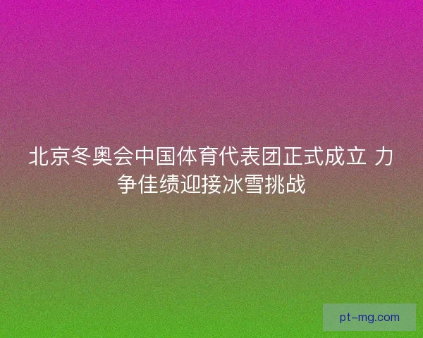 北京冬奥会中国体育代表团正式成立 力争佳绩迎接冰雪挑战