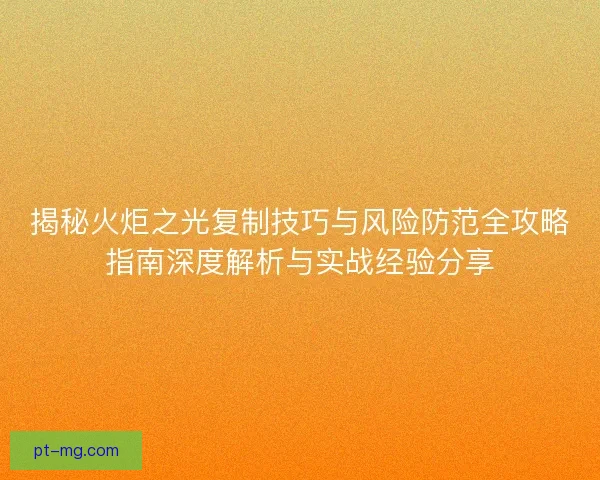 揭秘火炬之光复制技巧与风险防范全攻略指南深度解析与实战经验分享
